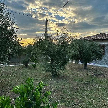 Garden House Villa Bellizzi Exterior photo